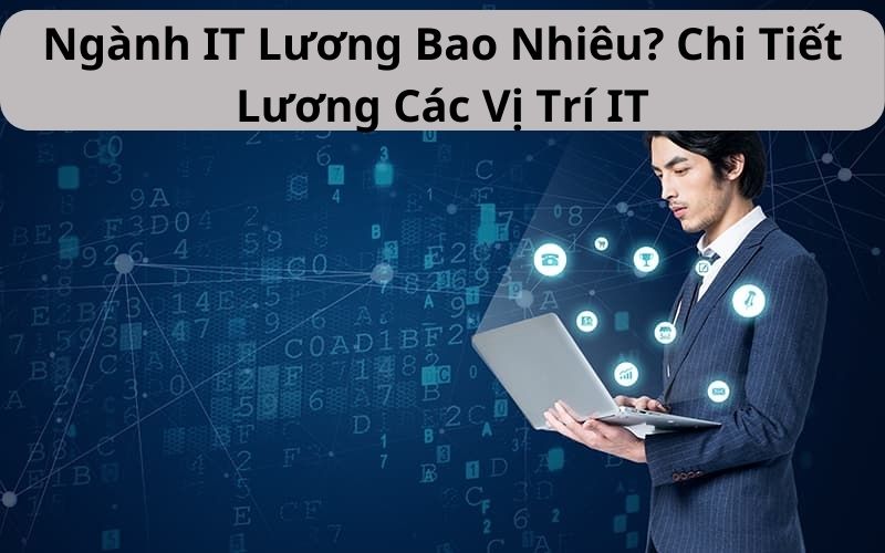 Ngành IT Lương Bao Nhiêu? Chi Tiết Lương Các Vị Trí IT