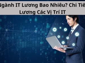 Ngành IT Lương Bao Nhiêu? Chi Tiết Lương Các Vị Trí IT